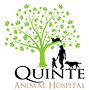 Quinte Animal Hospital